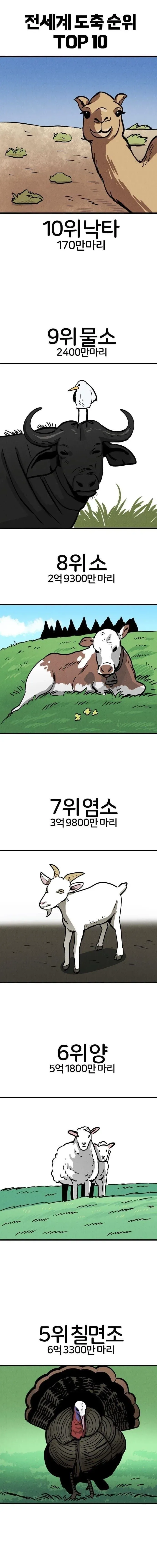 전세계 도축 동물 순위.jpg