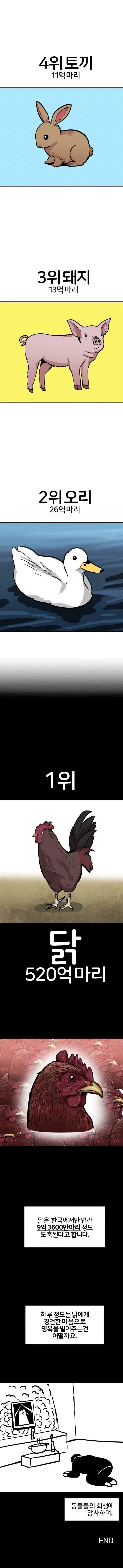 전세계 도축 동물 순위.jpg - 이미지 2