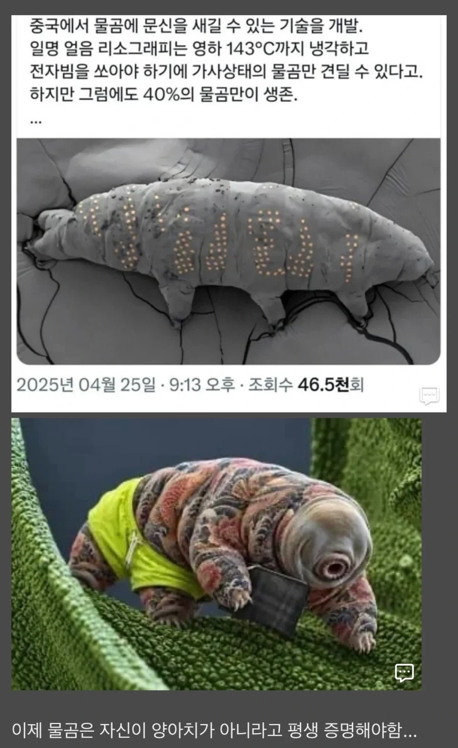 이젠 물곰도 평생 증명하고 살아야 함 ㄷㄷ;;.jpg