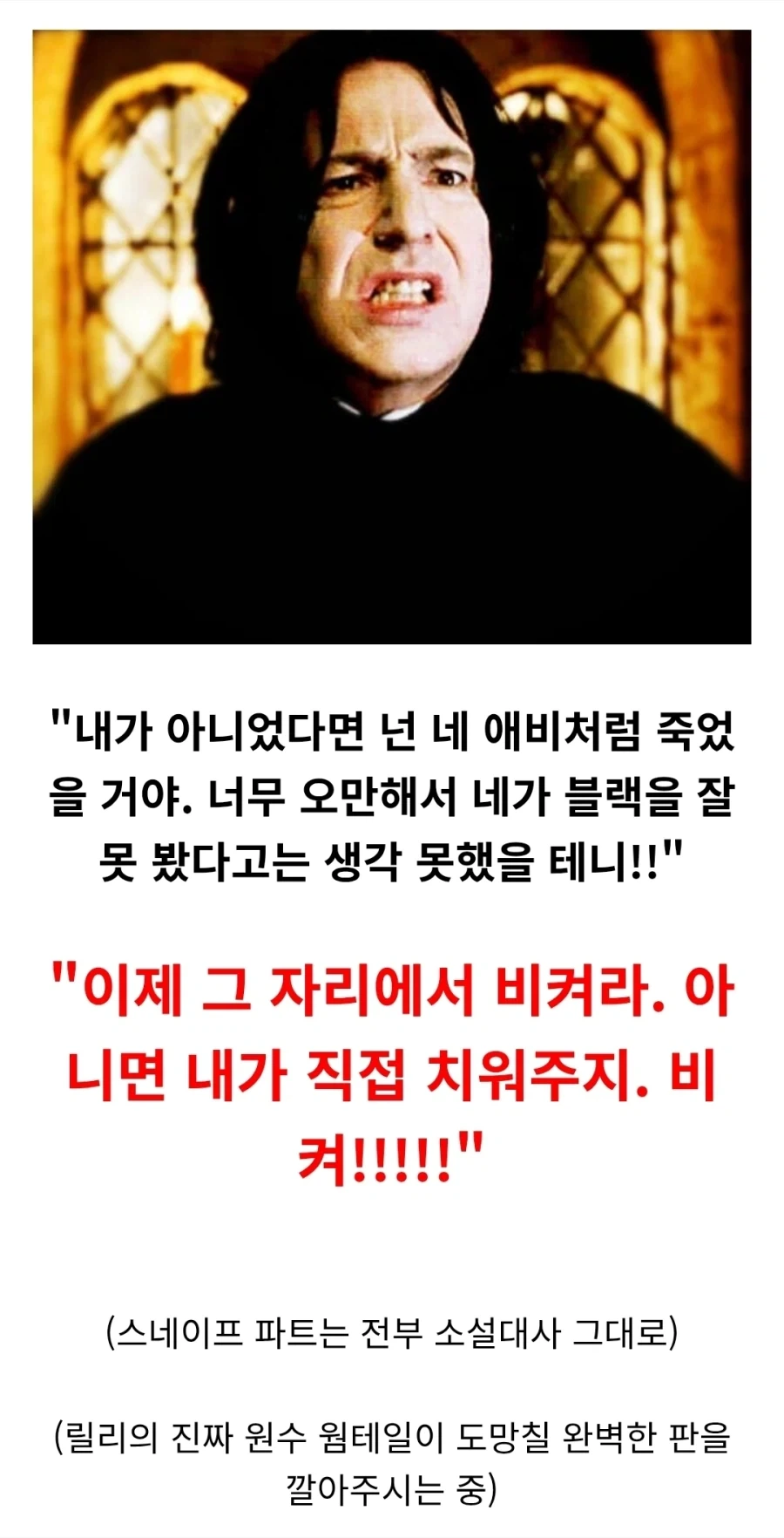 해리포터) 이 시리즈가 주는 의외의 교훈