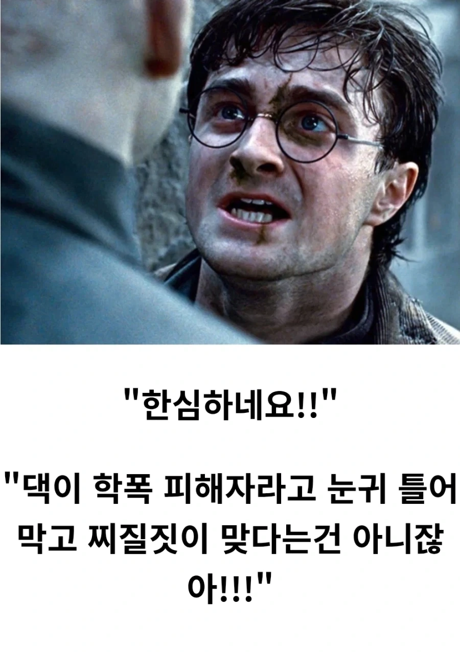 해리포터) 이 시리즈가 주는 의외의 교훈 - 이미지 3