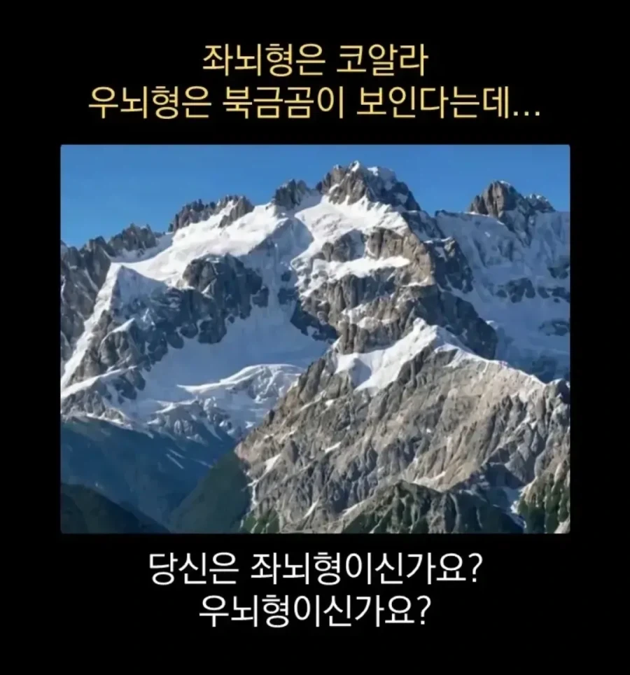 좌뇌형과 우뇌형이 다르게 보이는 사진