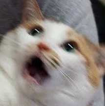 버튜버)신비한 오카유