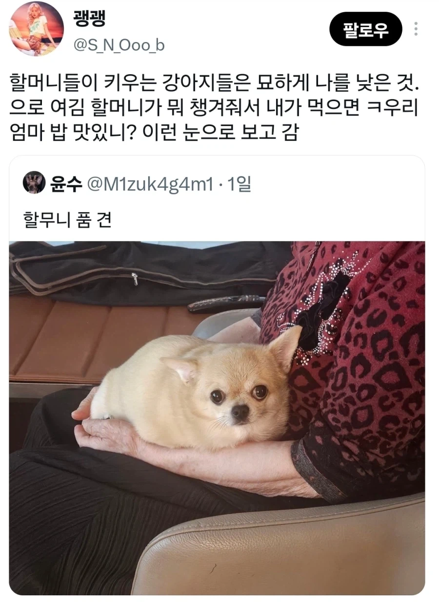 묘하게 나를 낮은 것으로 보는 존재.x