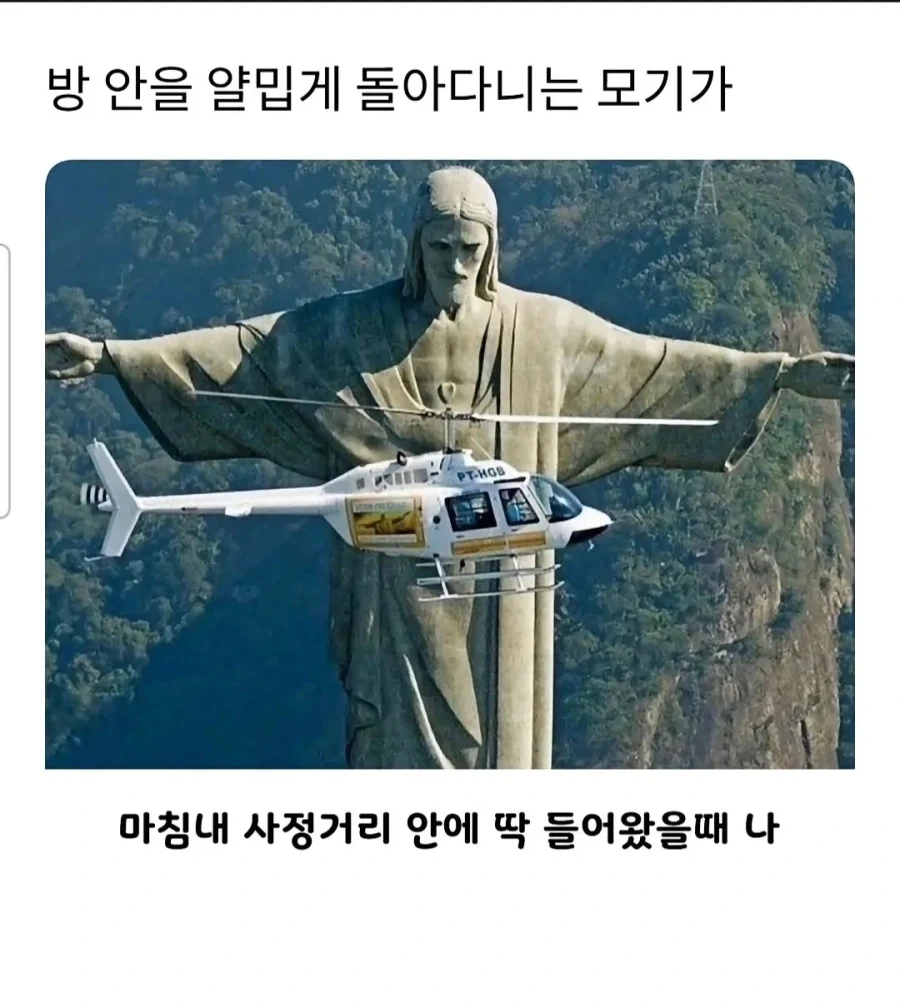 모기가 사정거리 안에 들어왔을 때.jpg