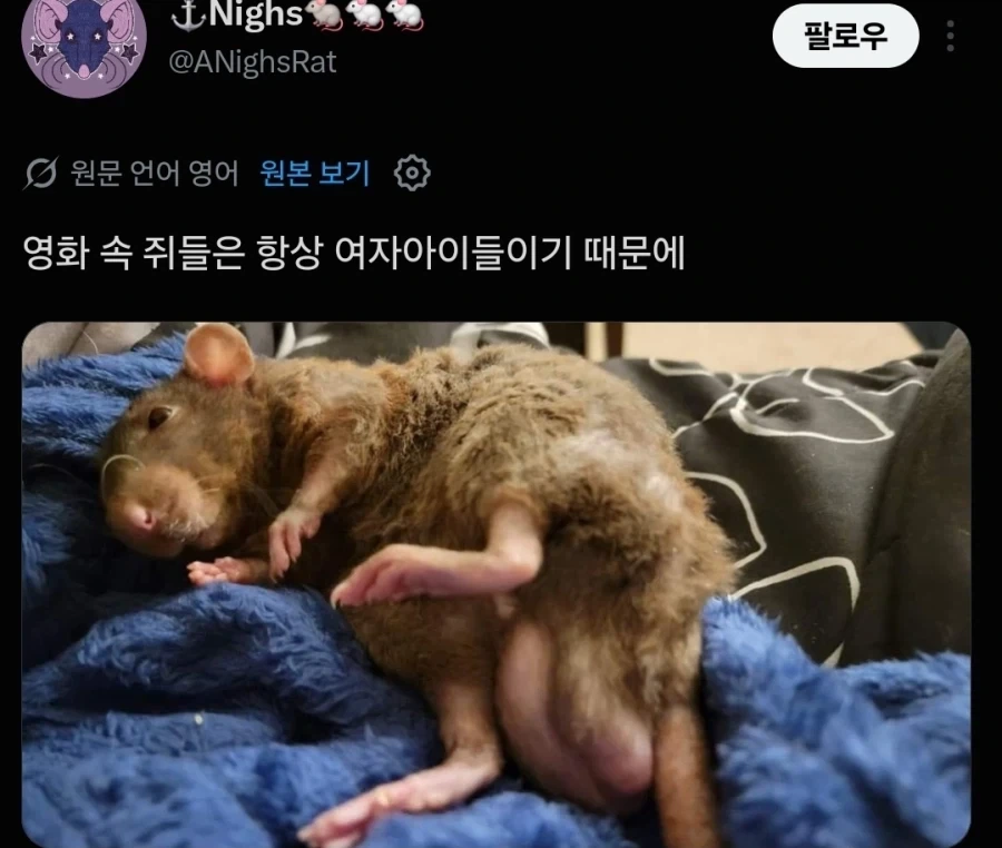 영화 촬영때 성별 제한을 두는 이유.jpg - 이미지 2