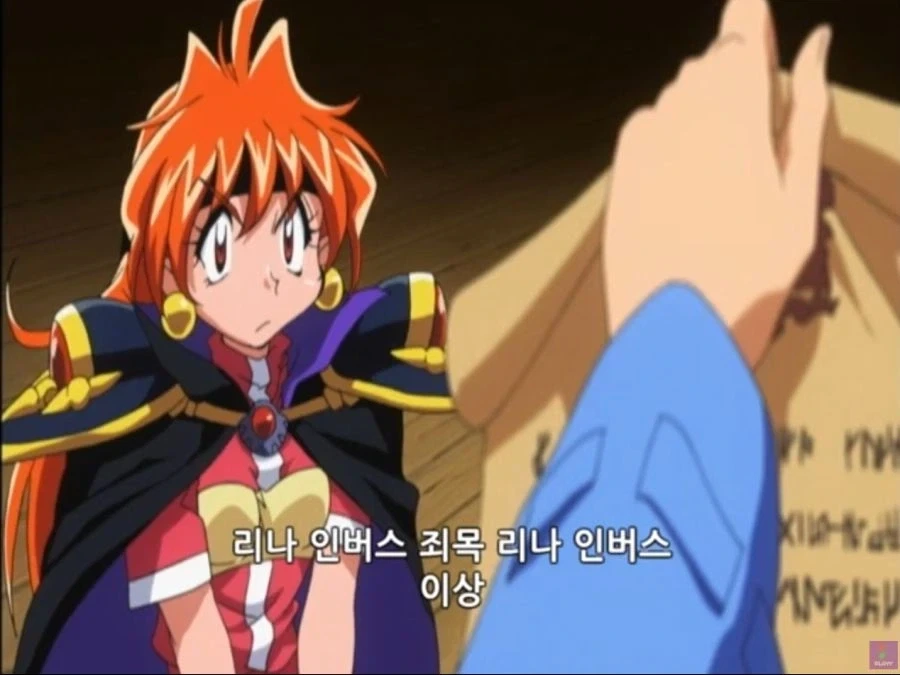 누가 봐도 납득 할만한 체포사유.jpg
