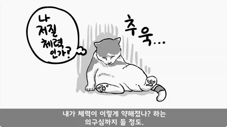 육군 사고사례집에 이름을 남긴 전설의 소위.jpg - 이미지 17