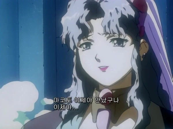 수미상관 완벽했던 인생 애니.JPG