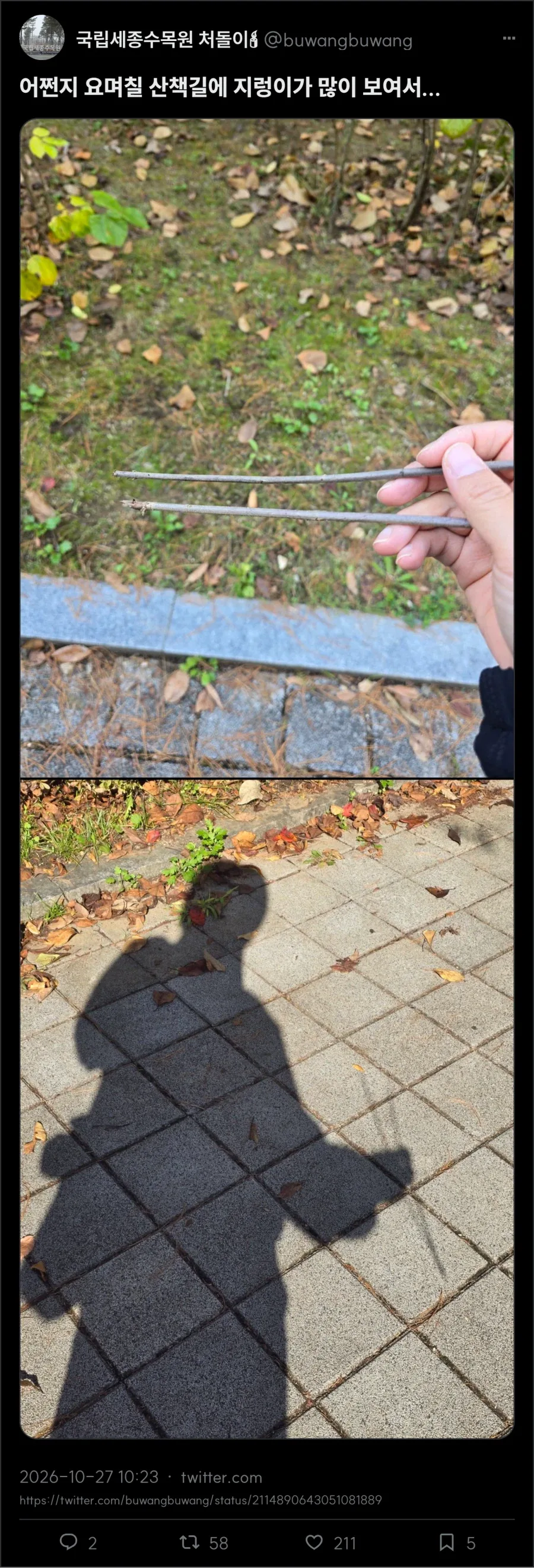 젓가락 들고 지렁이 찾는 사람
