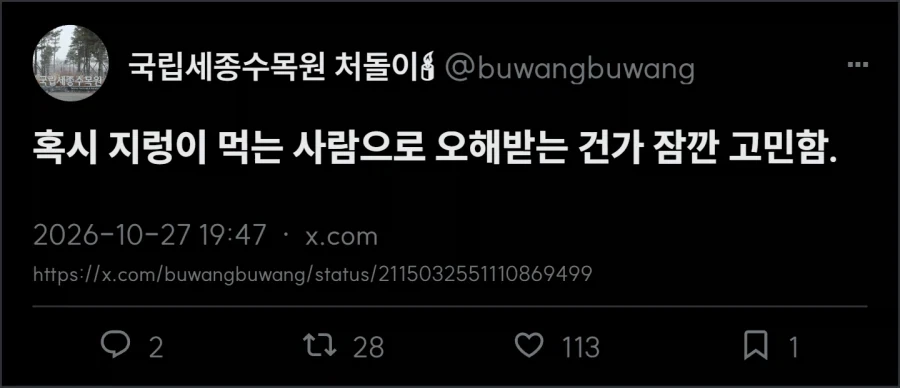 젓가락 들고 지렁이 찾는 사람 - 이미지 2