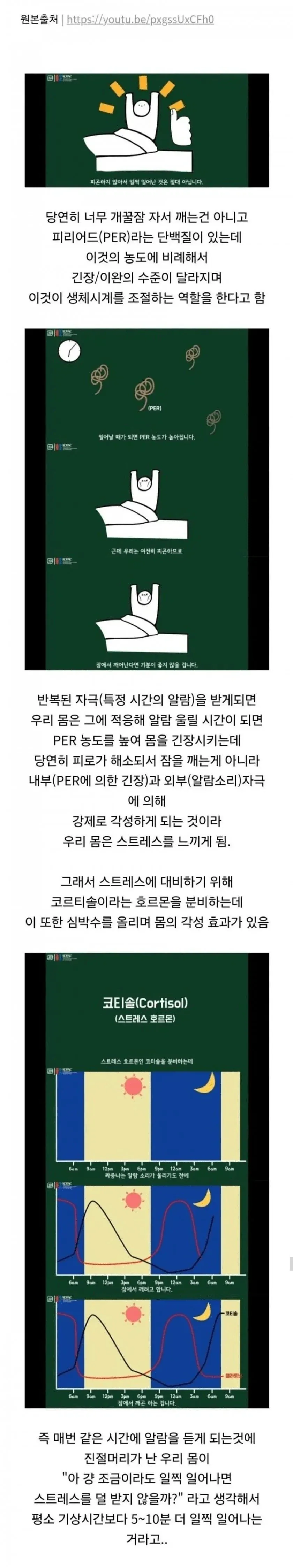 알람벨이 울리기 전에 미리 일어나게 되는 이유.jpg
