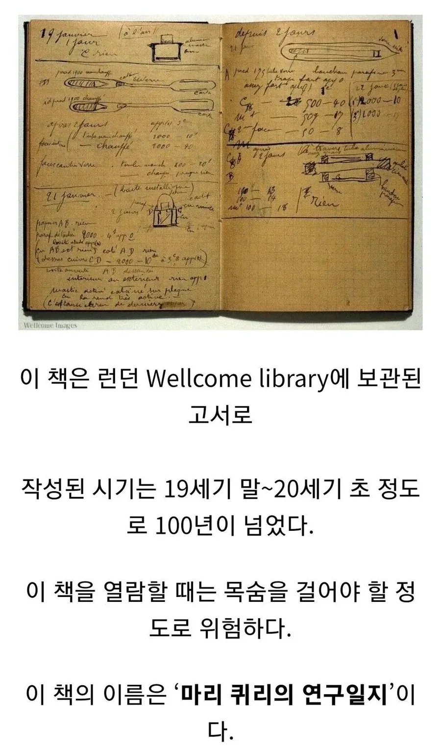 읽으면 지식을 얻고 수명을 잃는 책