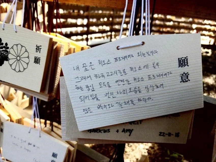 고등학교 자퇴함