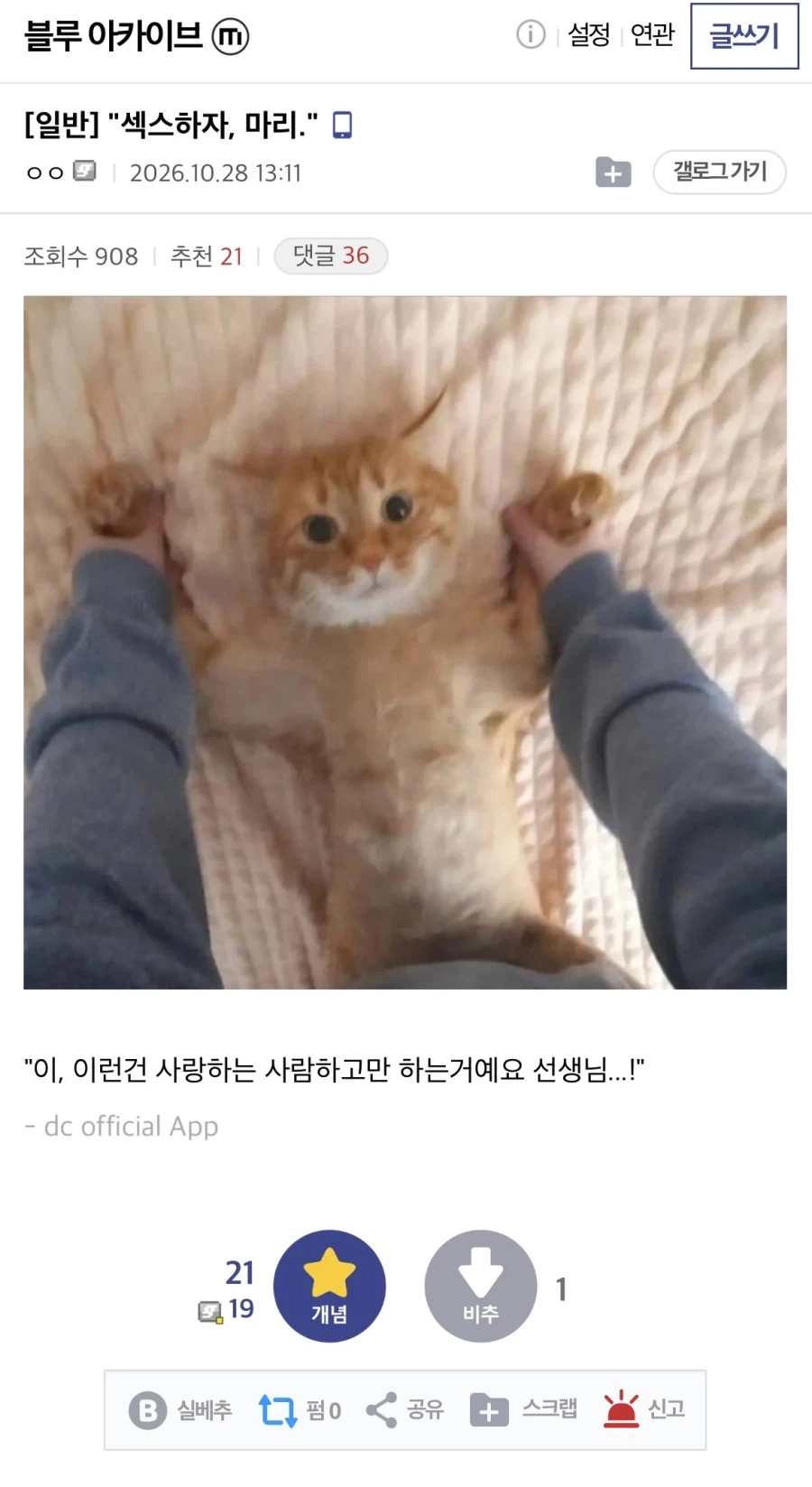 “ㅅㅅ하자“