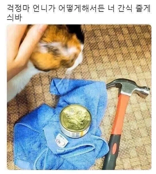 ???: 걱정마 언니가 어떻게 해서든...