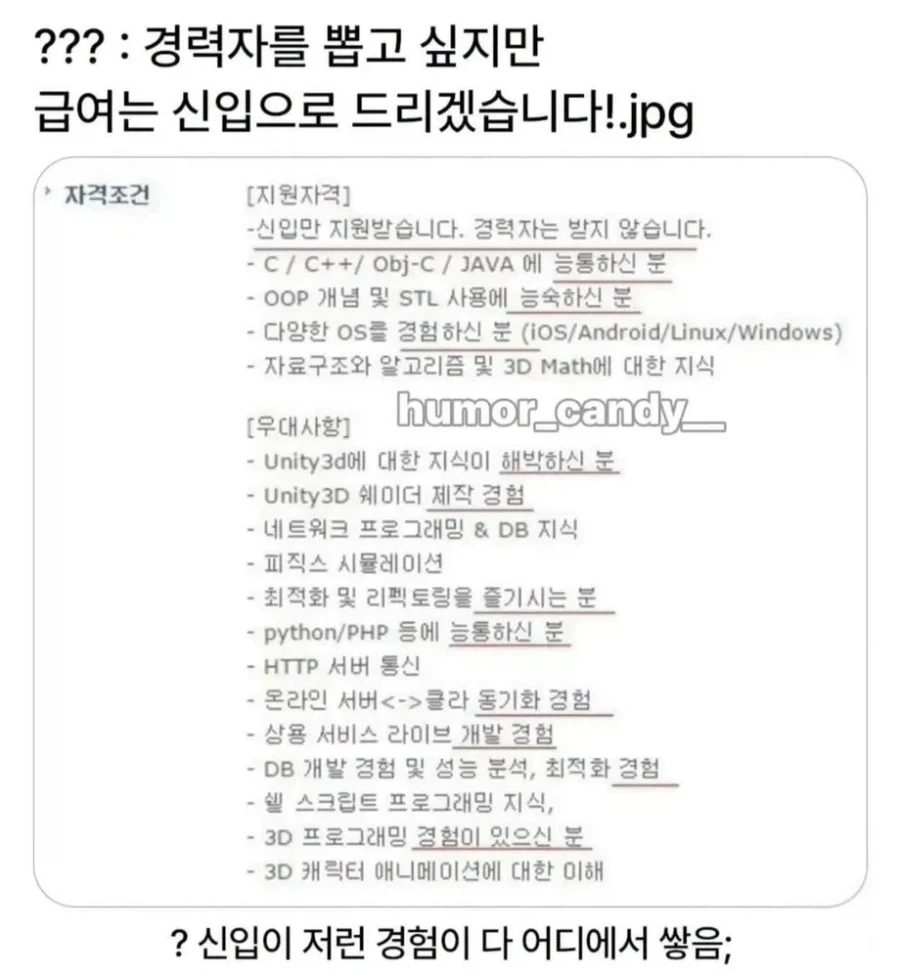 신입만 받습니다. 경력자는 받지 않습니다..jpg