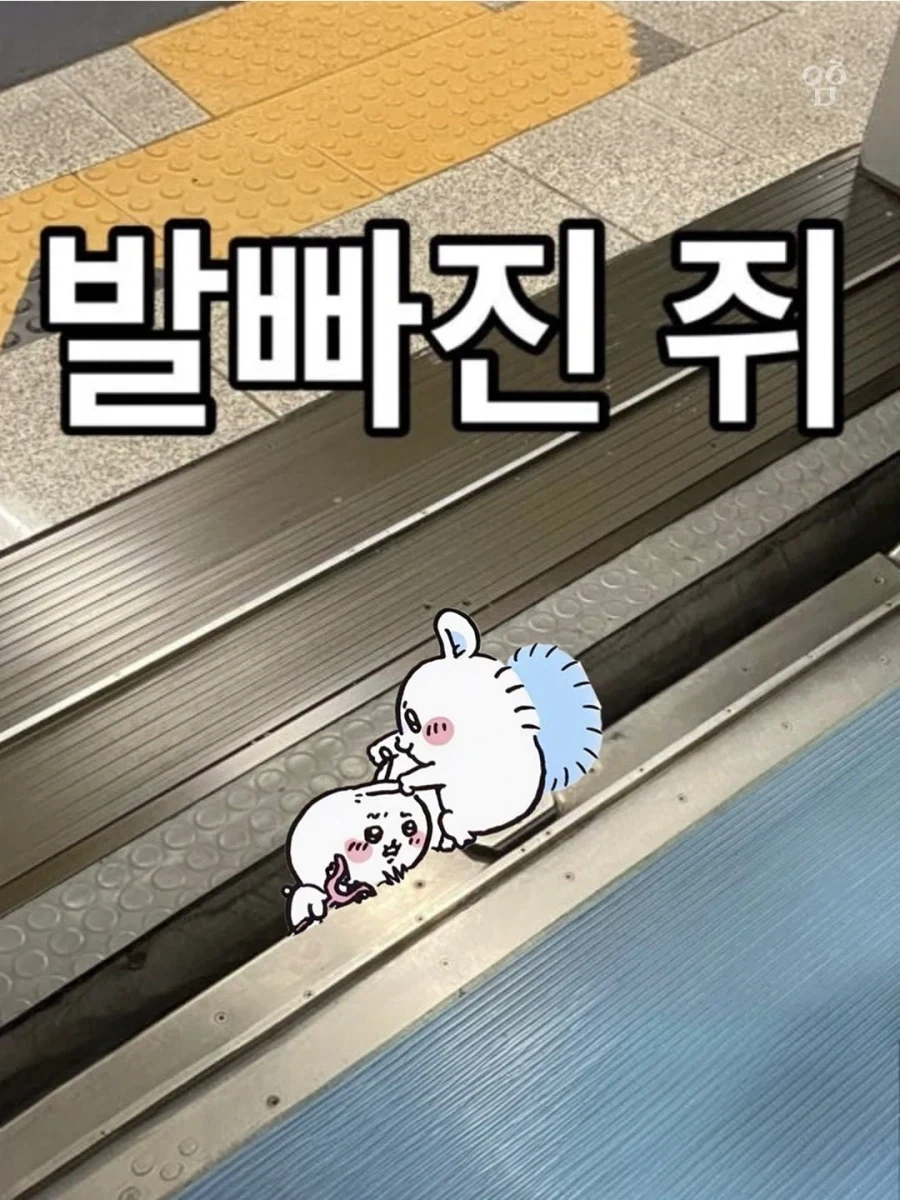 치이카와) 발 빠진 쥐.