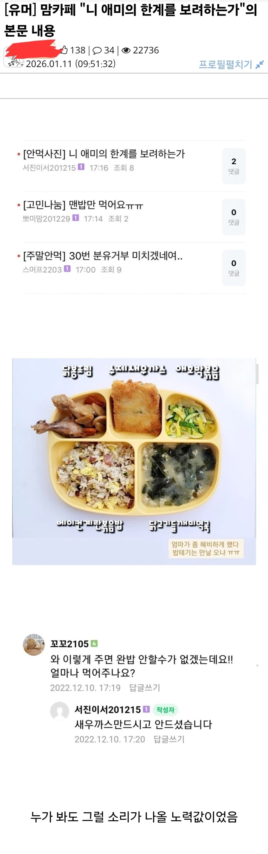 맘카페 ＇니 애미의 한계를 보려하는가＇의 본문.jpg