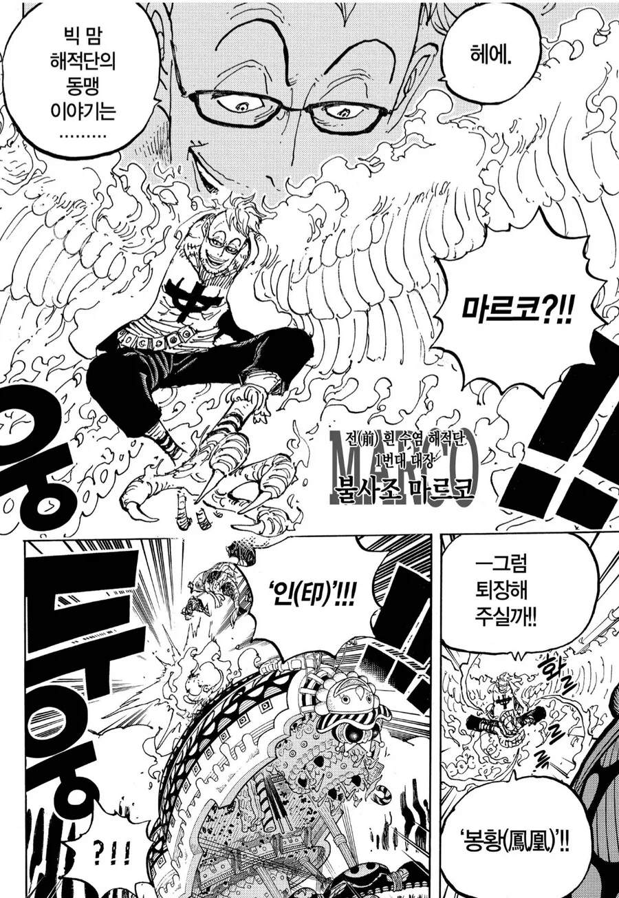 원피스) 오니가시마 결전에서 마르코의 최대 활약 - 이미지 2