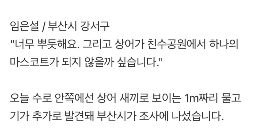 부산 상어 출몰이 장기화 될거같은 이유