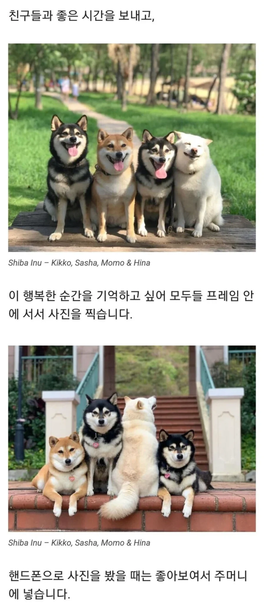 항상 단체사진을 망치는 친구