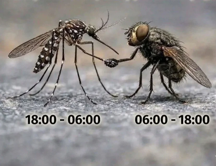 씹새끼들의 동맹.jpg