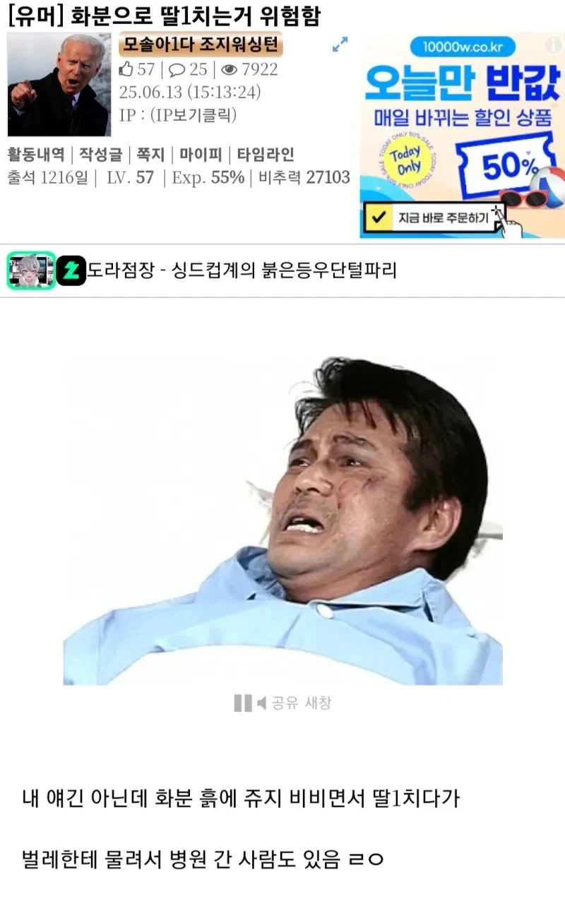 화분으로 딸치면 위험하다는 모솔아다 디씨인