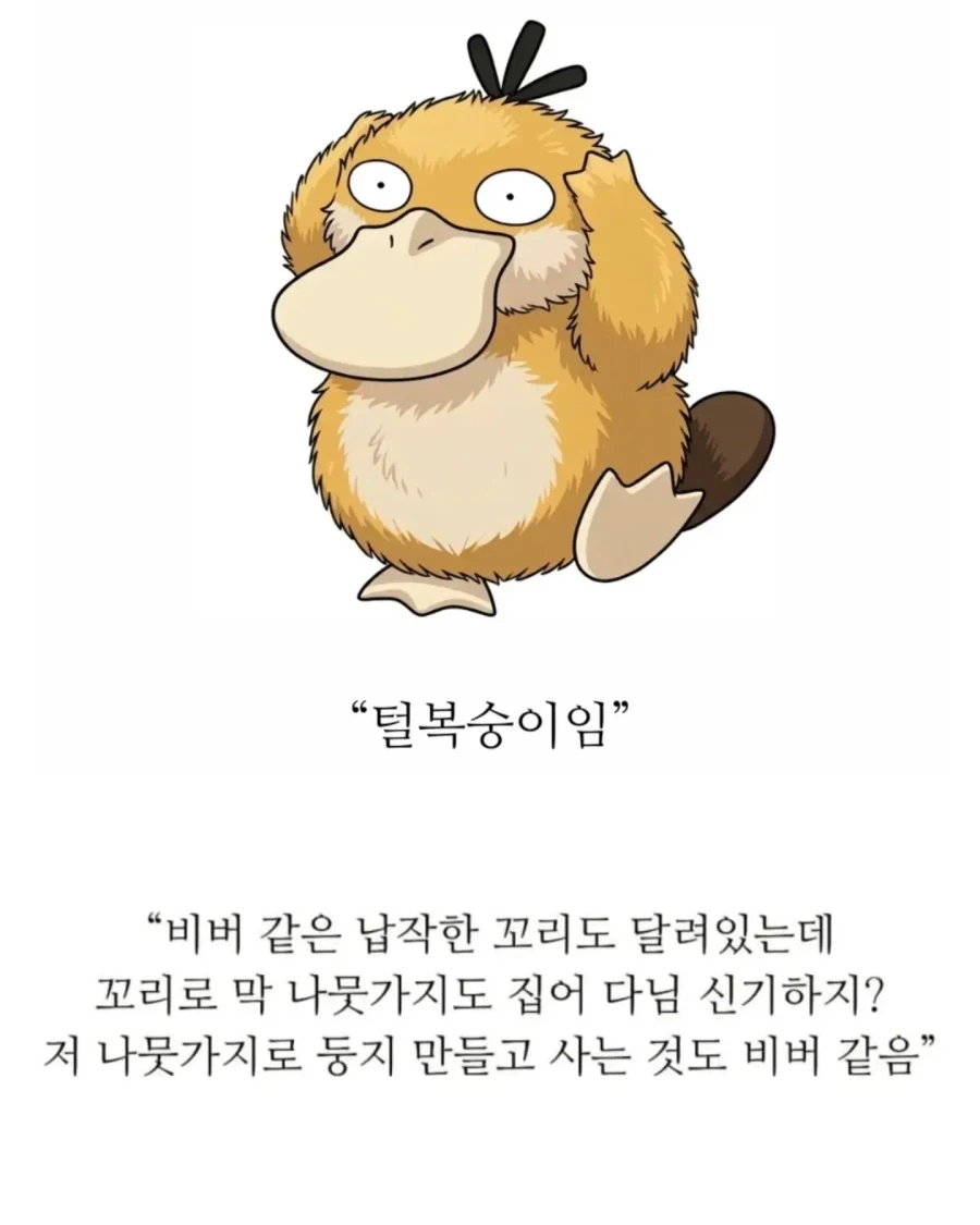 의외로 18세기에 발견된 기괴한 생명체.jpg - 이미지 3