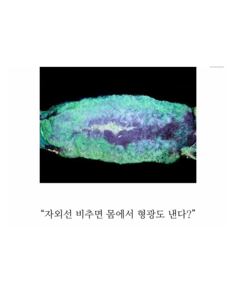 의외로 18세기에 발견된 기괴한 생명체.jpg - 이미지 6