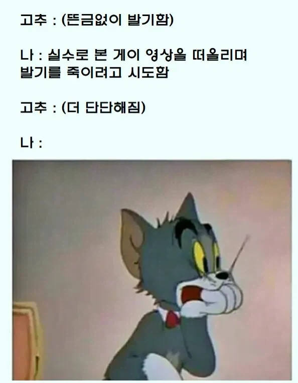 갑자기 발기된 꼬츄 특