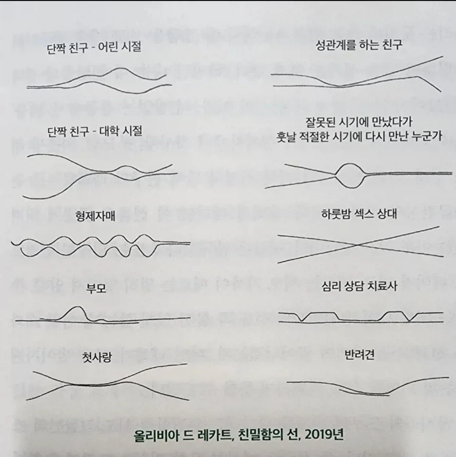 선으로 표현한 관계
