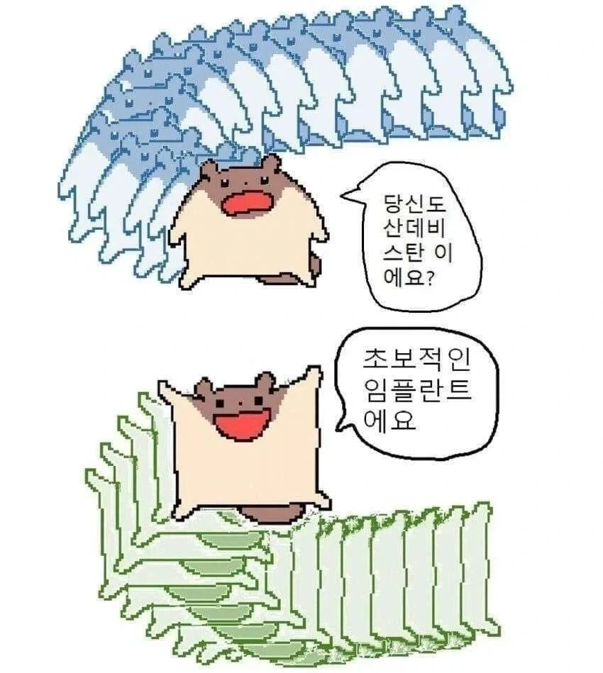 하늘다람쥐랑 싸우면 안되는 이유