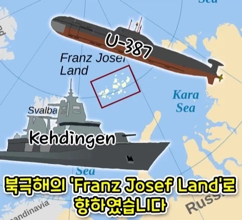 짐승 때문에 실패한 나치독일의 작전.jpg - 이미지 4