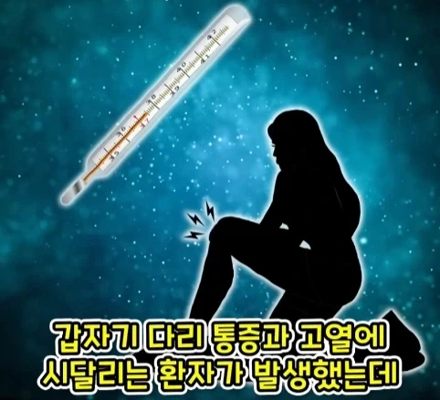 짐승 때문에 실패한 나치독일의 작전.jpg - 이미지 12