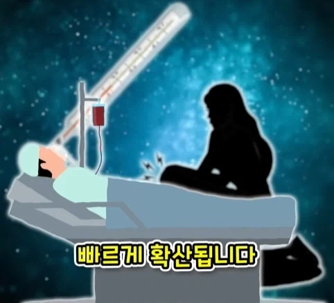 짐승 때문에 실패한 나치독일의 작전.jpg - 이미지 14