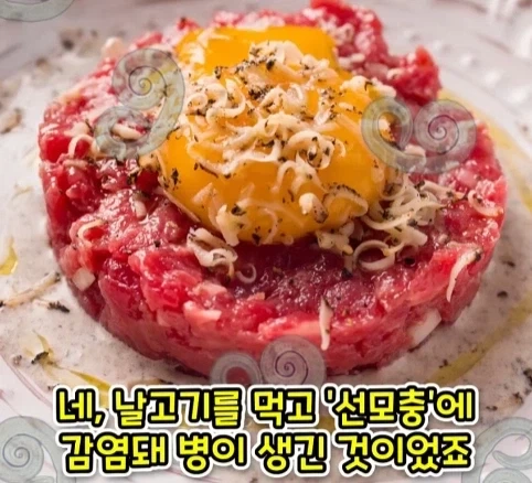 짐승 때문에 실패한 나치독일의 작전.jpg - 이미지 21
