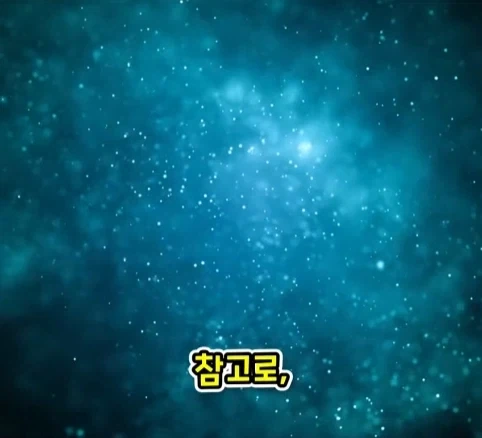 짐승 때문에 실패한 나치독일의 작전.jpg - 이미지 24