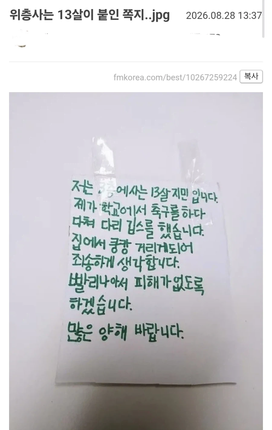 13살 아이의 글을 보고 추억에 잠긴 펨붕이