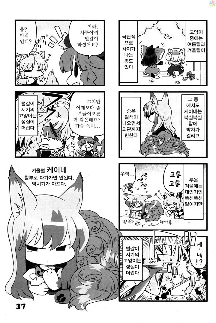 동방)고양이 놀이3.manga - 이미지 6