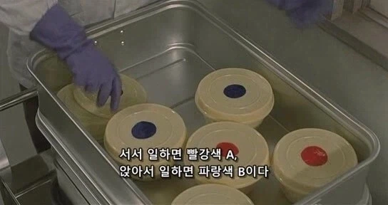 교도소 생활에 익숙해진 범죄자의 독백 - 이미지 17