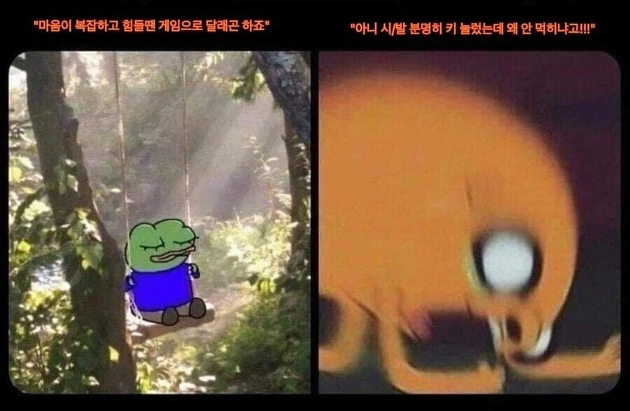 게임할때 이상과 현실