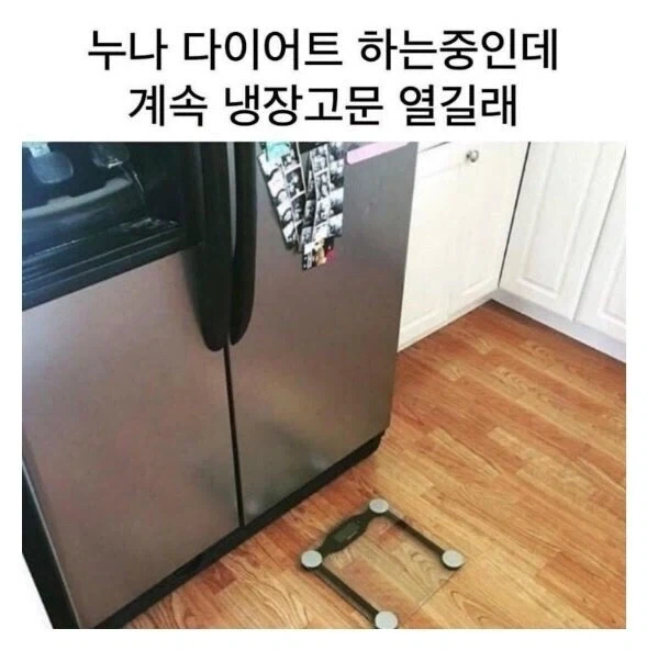 누나 다이어트 한다면서 계속 냉장고 문 열길래.jpg