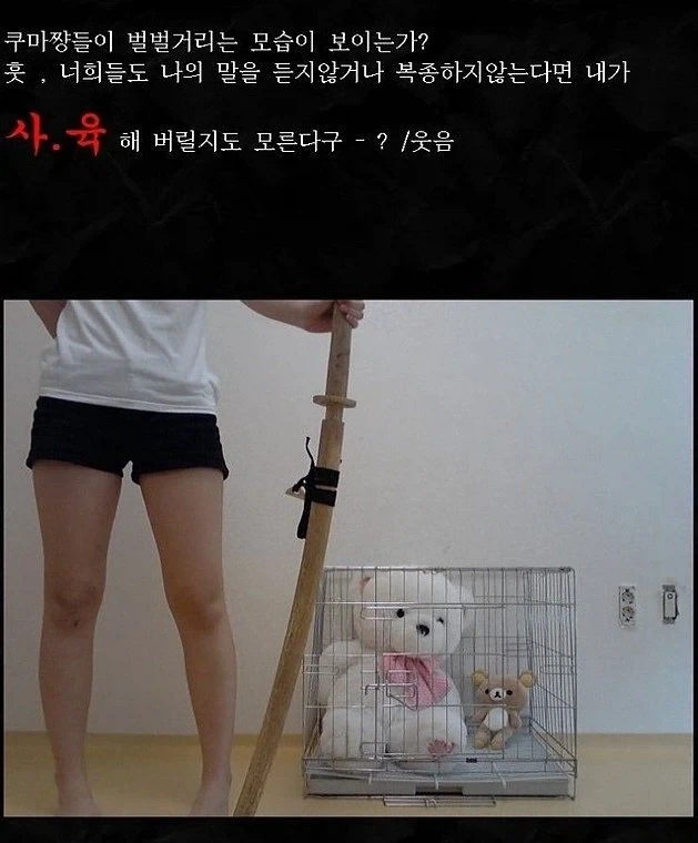 13년전 네이버에 출몰했던 여성 오따꾸 - 이미지 3