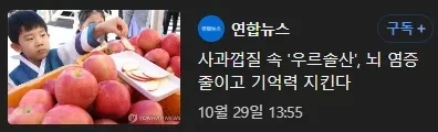 엔드필드)관리자가 기억을 잃은 이유.jpg