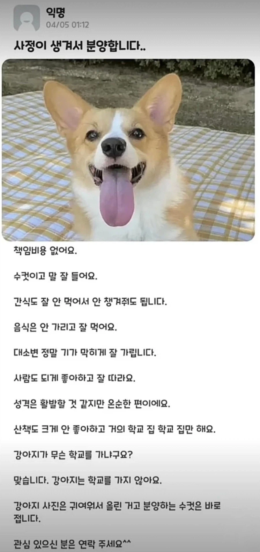 사정이 생겨서 분양합니다