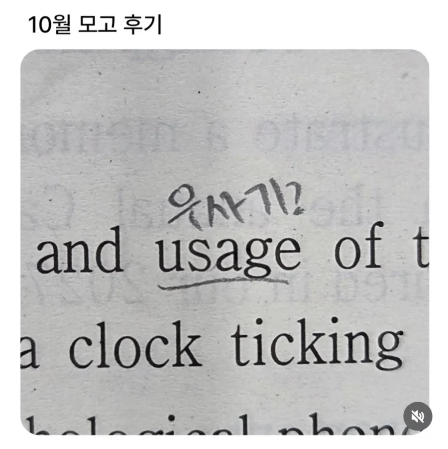 치이카와 유행이 대단한 이유