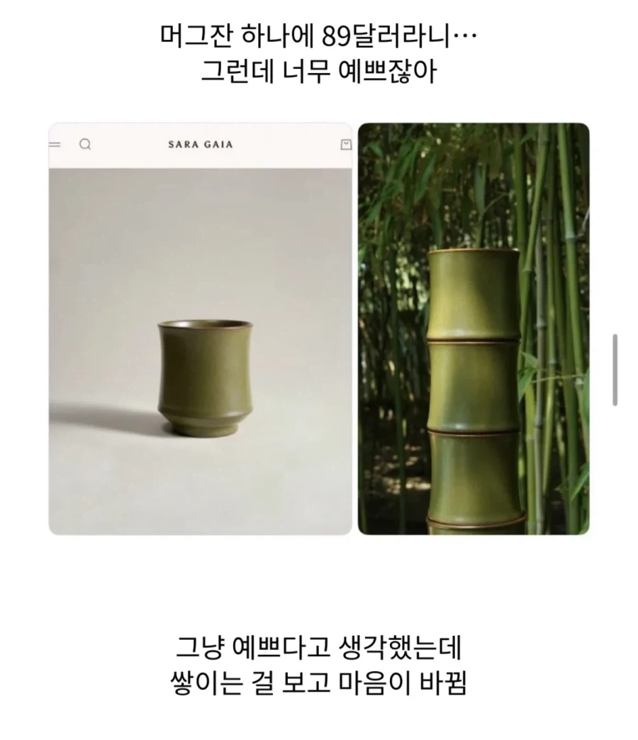 89달러 컵의 충격적인 정체
