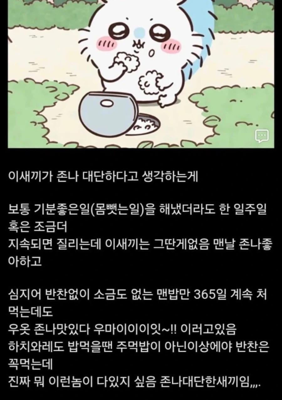 치이카와 세계관에서 의외로 대단한 새끼.jpg