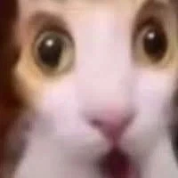 담배에서 무려 발암물질 검출! - 이미지 3